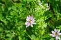 DSC01335_DxO