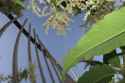 32072448_Unknown