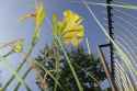 32072416_Unknown