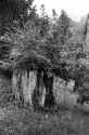 A7R01992_stitch_GW690PlusXPan_03