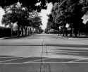 DSC_6995 (2048)