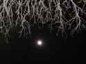 1.34 MB