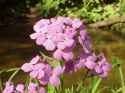 133 KB