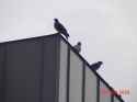 322 KB