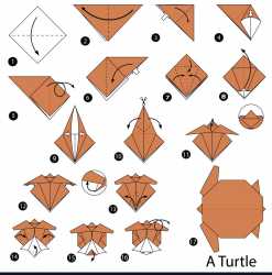 step-instructions-how-to-make-origami-a-turtle-vector-20169952