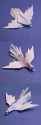 bird-5