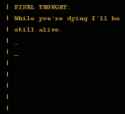 31 KB