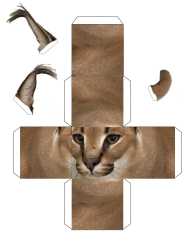 381 KB