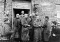 soviet-soldiers-in-auschwitz-after-liberating-it-v0-u2q0of5s8vec1