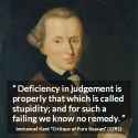 kant_judgement