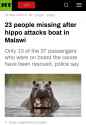 Hippos eat niggers