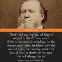 Brigham Young Mormon race mixing