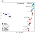 Gene Clustering