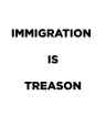 IMMIGRATION IS TREASON