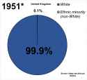 britain demographics