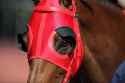 436-Racehorse-Blinders-Canva-1242578883