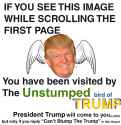 cant stump the trump