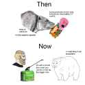 muh ecosystem