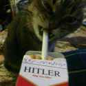 ciggy_cat_GHs88UlWwAAU2Xp