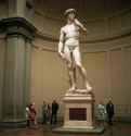 david