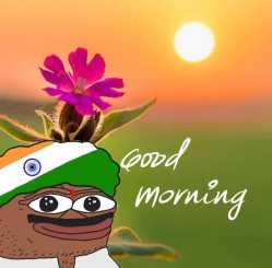 ocfogspg5lsd1