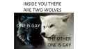 inside_you_there_are_two_wolves