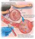 Noninvasive-Prenatal-Testing-NIPT-Market