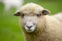 Fishers-Farm-Easter-13-scaled-e1665572526728
