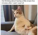 130754