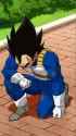 vegeta kneel