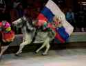 russia donkey charge