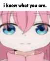 has-bocchi-always-this-sus-v0-521jbw9cuwgb1