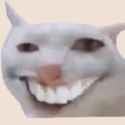 1733265524077385