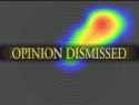 opinion