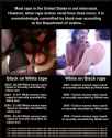 Black vs White rapes