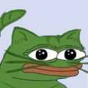 Cat Pepe