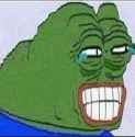 pepe-laugh-pepe-lol-537045305