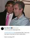 TrumpEpstein