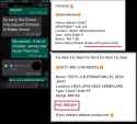 23565843643533