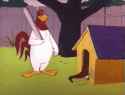 foghorn-leghorn-498-x-381-gif-j982fwx178t5sf7a