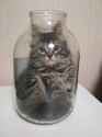 kot jar