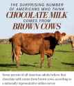 chocolate milk