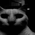 icon_5