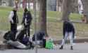 images (6)