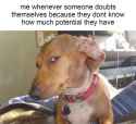103733