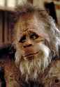 HarryBigfoot