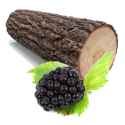 wood berry
