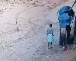 1749286448054730