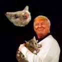 Trump-quoll