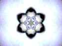 webcam-toy-photo5
